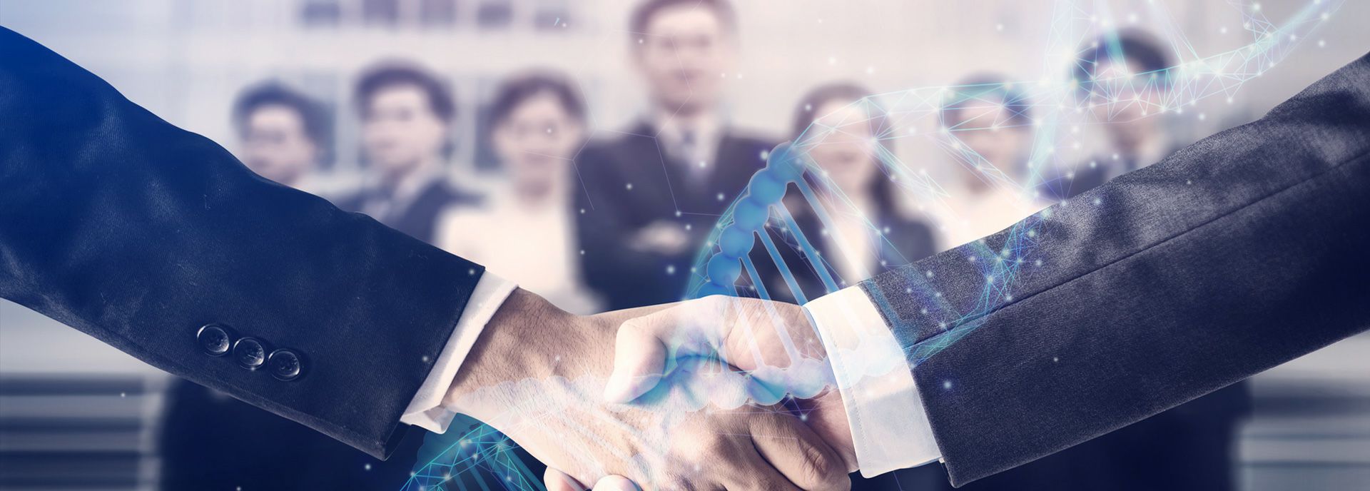 开云链接官方网站-开云(中国)